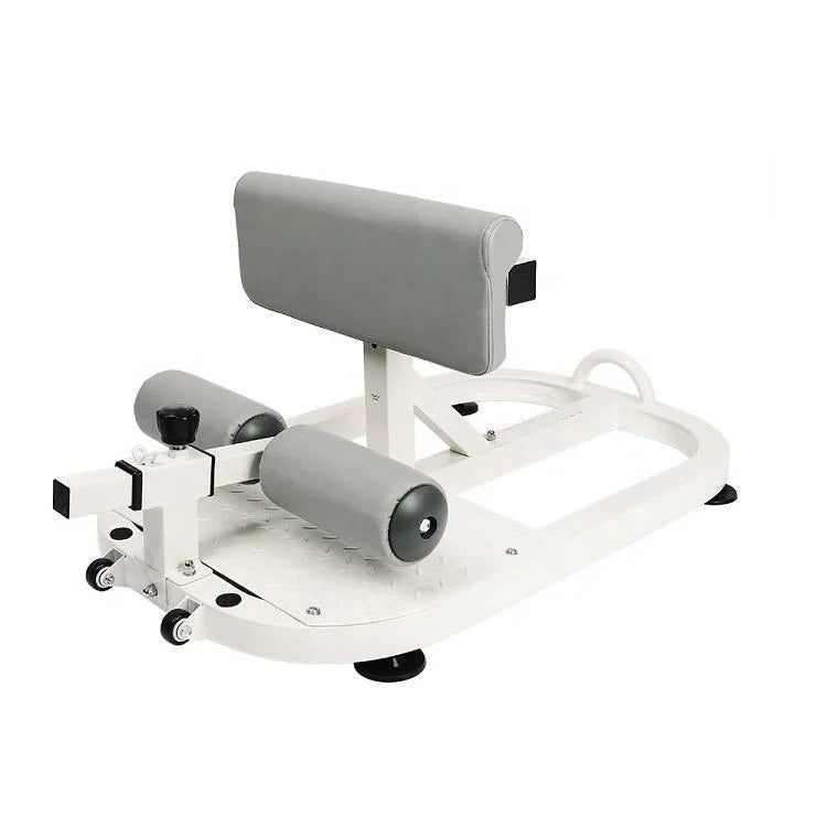 Wellshow Sport Home Gym Adjustable Deep Sissy Squat Machine Sit up Stand Bench for Squat Leg and Glutes Workout MegaBDM