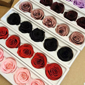 Decorative Preserved Real Immortal Rose Heads Long Lasting Natural Flower in Box for Graduation Christmas & Thanksgiving
