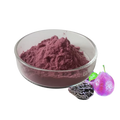 Plum Powder: Pure Natural High-Quality (Healthy Food Additive Manufacturer)