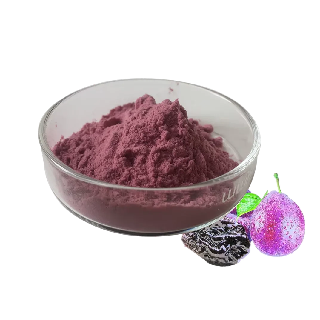 Plum Powder: Pure Natural High-Quality (Healthy Food Additive Manufacturer)
