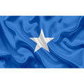 Hot Selling Custom Flags and Banners Polyester Fabrics Flags All Countries Festival Somali Flag