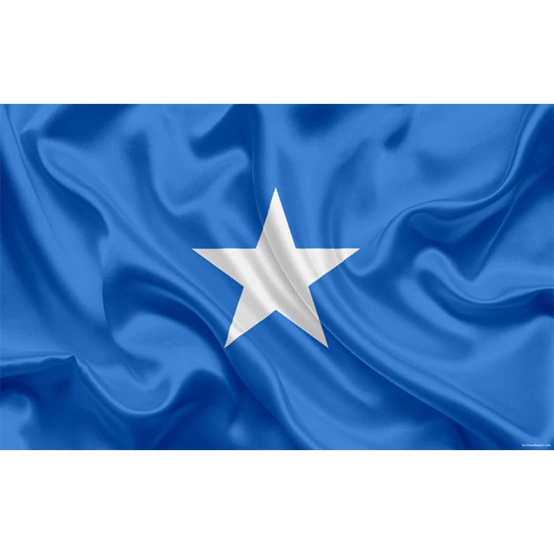 Hot Selling Custom Flags and Banners Polyester Fabrics Flags All Countries Festival Somali Flag