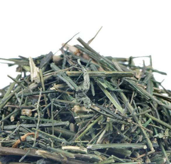 Organic Raw Herba Andrographis Green Chiretta Dried Andrographis Paniculata Cuts for Sale