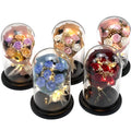 Trending Valentines Day Gifts Mothers Day Romantic Soap Eternal Flower Forever Preserved Rose Flower in Glass Dome