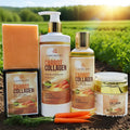 OEM Wholesale Organic Vitamin C Skin Care Black Spot Whitening Carrot Skin Care Set for Women