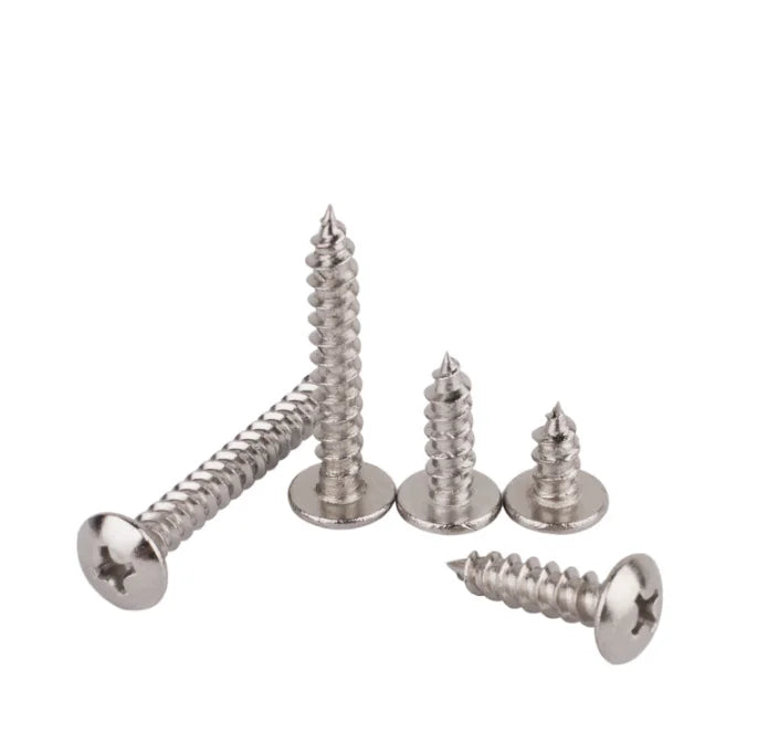 M1.4 M1.6 M2.2M2 M3 M4 M5 M6 Stainless Steel Pan Head Self-tapping Fixing Screw