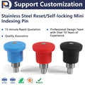 PANQI FD-21 M8 M10 M12 M16 Mini Reset Self-lock Indexing Plunger Anti-Corrosion Stainless Steel Handles Black Spring Index Pin