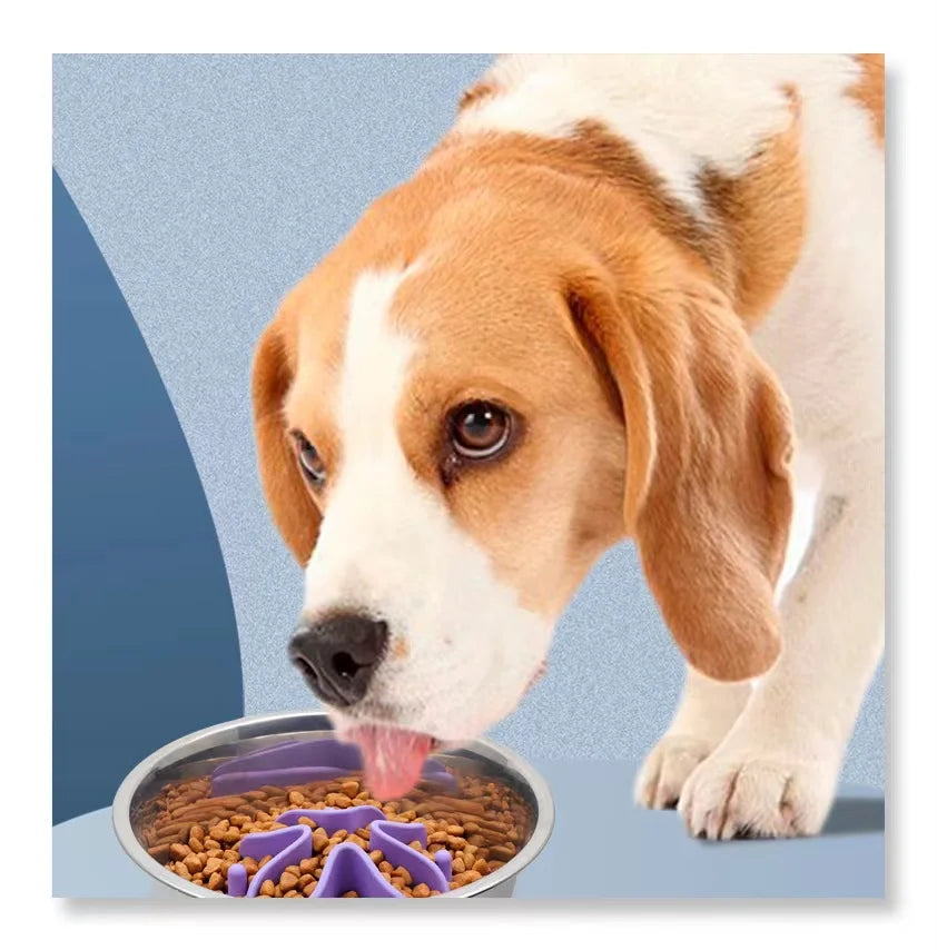 Pet Products Dog Food Bowl Slow Feeder Dog Bowl Pet Bowls & Feeders