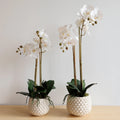 2022 44cm Artificial Flowers Orchids Plant Ceramic Potted Natural for Wedding Decoration