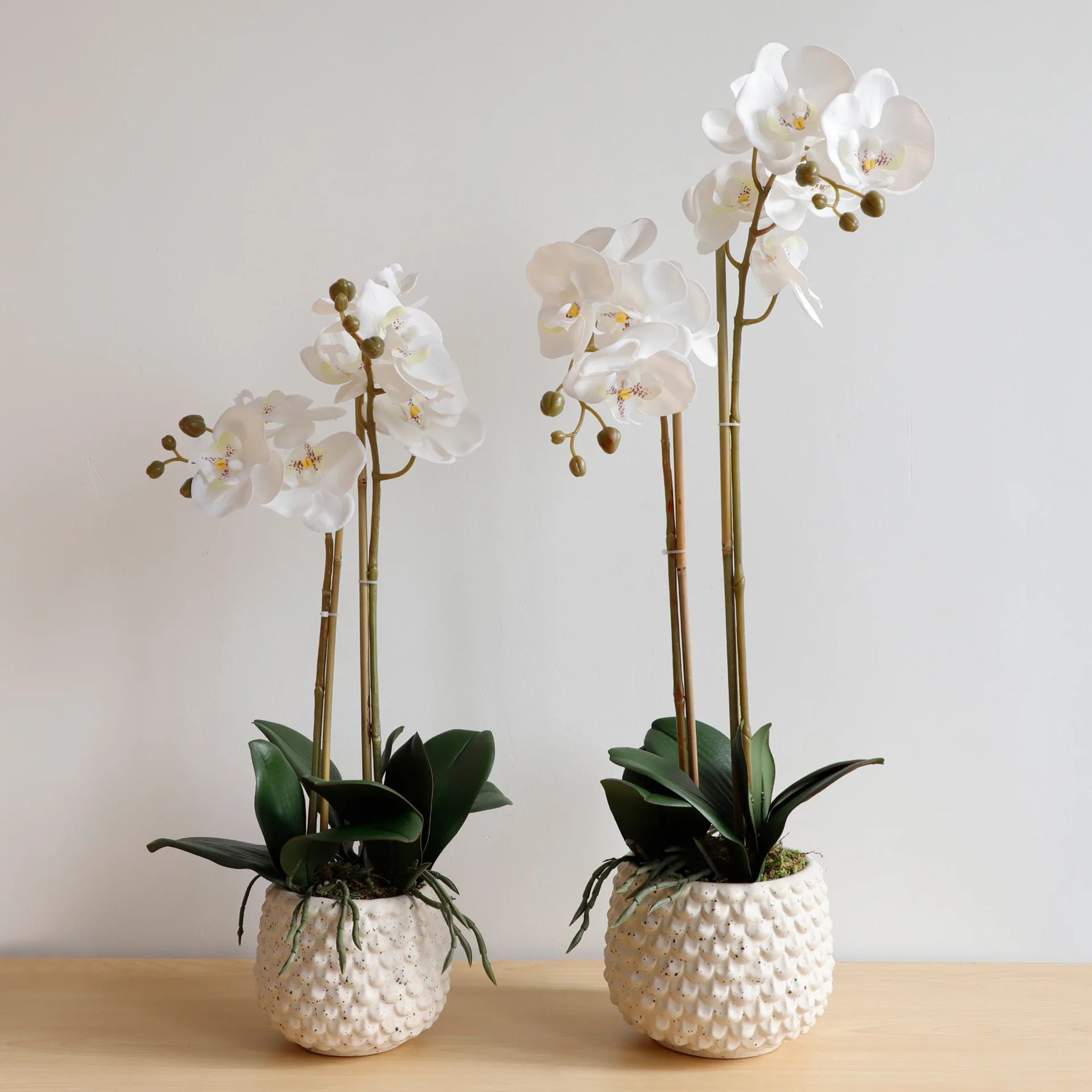 2022 44cm Artificial Flowers Orchids Plant Ceramic Potted Natural for Wedding Decoration