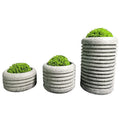 Modern Big Size Flower Pots Outdoor Indoor Plant Pot Garden Vase Fibreglass Planter Mold Glass Fiber Reinforced Plastic 10