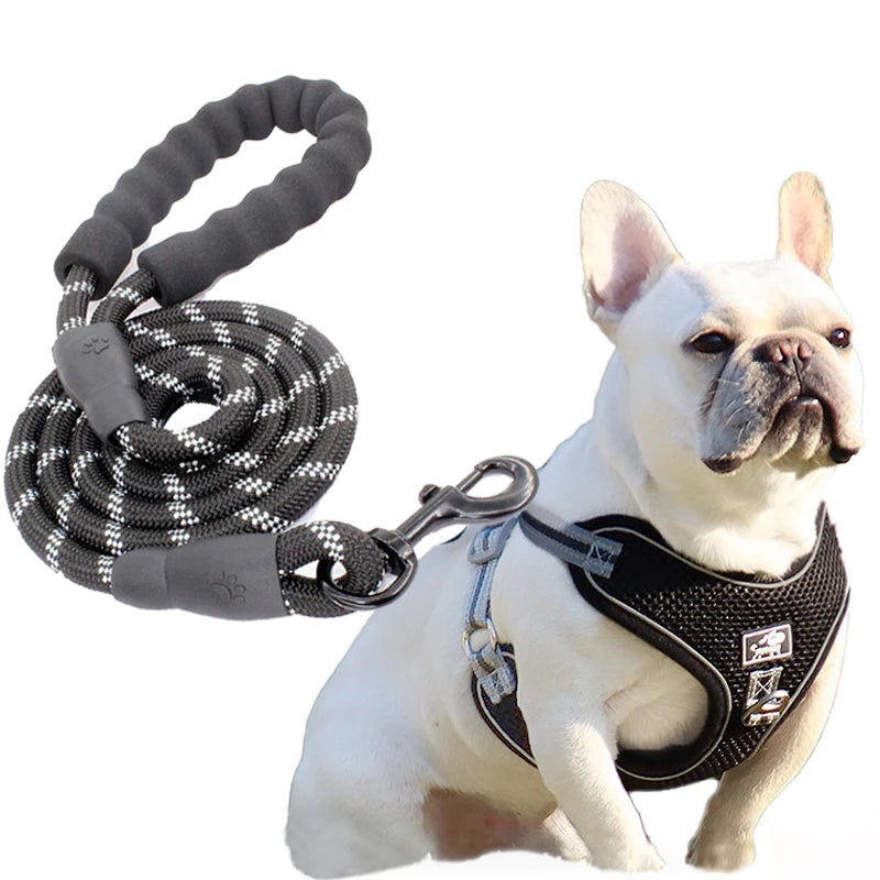 Custom No Pull Dog Harness Adjustable Reflective Easy Control Medium Large Dog Harness Leash Set