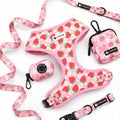 Private Label Neoprene Dog Harness Collar Leash Set with Dog Treat Pouch Custom Print No Pull Dog Harness