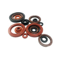 TC SC double single lip NBR FKM Fluorine rubber skeleton oil seal factory manufacturer