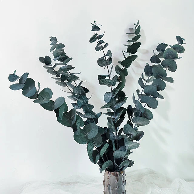 Immortal Little Eucalyptus Leaves Dried Flower Bouquet Preserved Eucalyptus Leaves Home Decoration Category Preserved Plants
