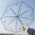Transparent Folding Umbrella Foldable Transparent Umbrella