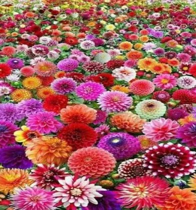 Chenistory DZDP842 Flowers E Canvas Custom 5D Full Drill Rhinestone Mosaic Diy 5D Diamond Painting Kit square Drill Cross Stitch