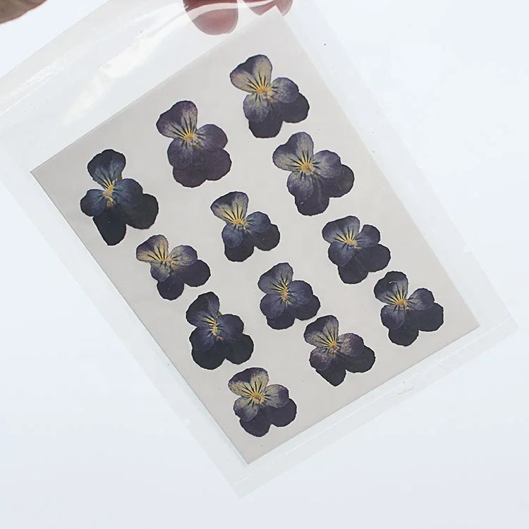 M042 Wholesale Resin Leaf Craft Dry Flower Frame Pressed Violas Pansies Nail Art Jewelry Cards Candles Decor Pressed Body MegaBDM
