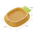 Juicepet Eco-friendly Funny Plastic Pineapple Shape Hydroponic Planting Box Cat Grass Soilless Wheat Seeds Chew Toy Pet Toy