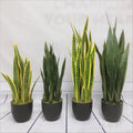 Plastic Artificial Bonsai Snake Plant/Sansevieria/Agave 70cm/90cm Green-Yellow JingRui Brand Artificial Ornamental Plant for