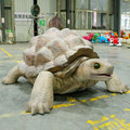 Professional High-end Custom-made Robotic Animal Costume Tortoise Suit with Moving Parts for Events