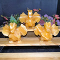Wholesale Yellow Calcite Dragon Carvings Crystal Healing Stones Orange Calcite Dragon for Decoration