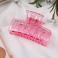 Hot Sale Summer Girls Hair Accessories Simple Cute Plastic Hair Claw Fashion Jelly Color Large Hair Claw for Lady