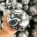 Charming Natural Thousand Eyes Polished Shell Jasper Crystal Sphere Ball for Decoration