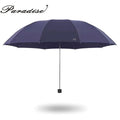 Paradise Customized Business Promotional 10 Bone Large Manual Design Umbrella for Men