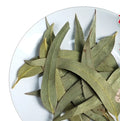 Bulk Dried Eucalyptus Leaves for Tea Leaf Eucalyptus for Sale