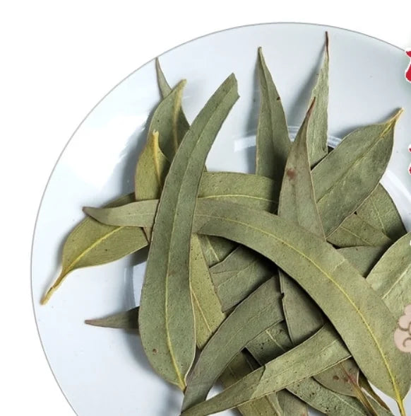 Bulk Dried Eucalyptus Leaves for Tea Leaf Eucalyptus for Sale