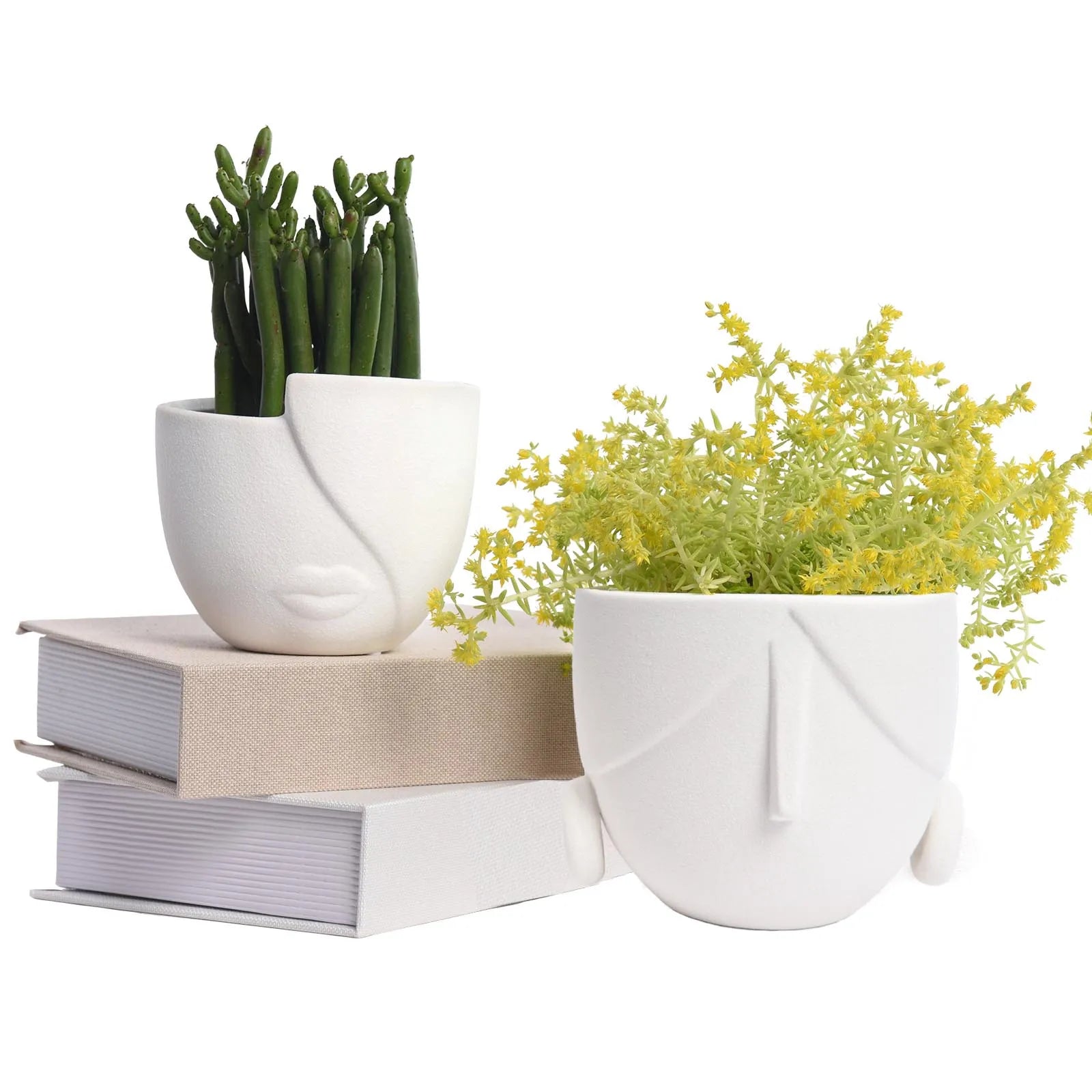 Modern Home Office Decorative Crafts Ceramic Small Planters Unique Indoor Head Flower Pot Succulent Face Plante