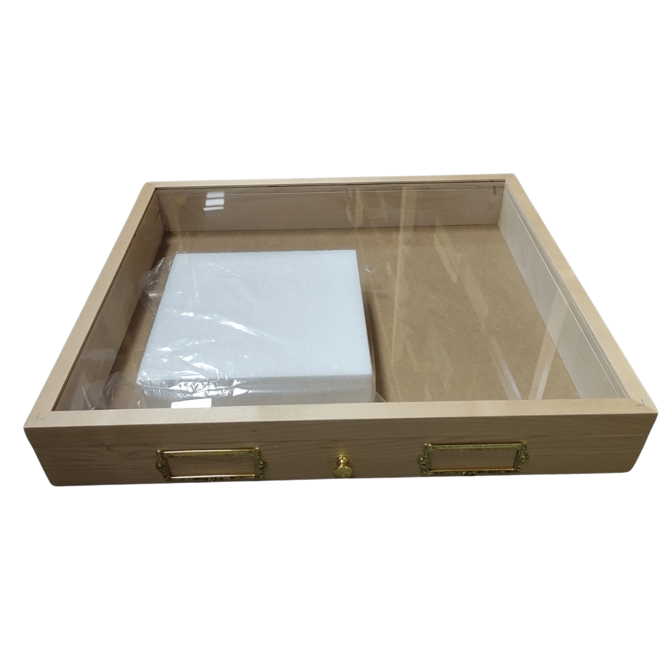 Durable Insect Display Frames for Preserving and Presenting Specimens