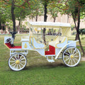 2025 Special Transportation for Sightseeing Tourism Horse Carriage European Royal Family Carriage