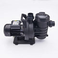 Pikes Swimming Pool Pump for Sale 0.75HP Pool Circulation Pump Swimming Pool Water Pump