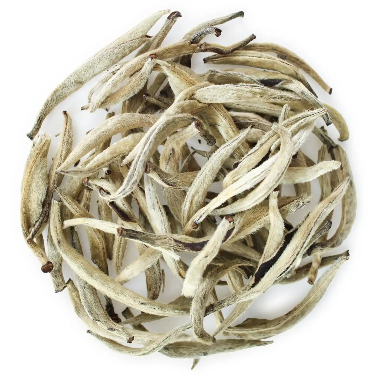 Good Quality Fuding White Tea (Silver Needles) Bai Hao Ren Zhen White Tea