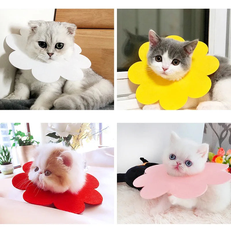 Stocked Sunflower Elizabeth Cat Collar