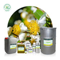 HL- Cold Pressed Carrier Oils Suppliers100% Plant Extract Bulk Green Tamanu Seed Oil for Skincare | Therapeutic Grade