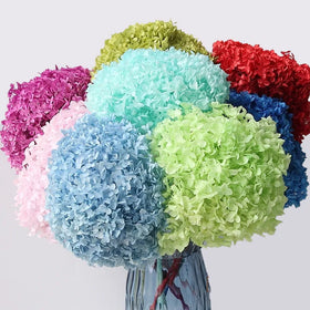 2021 Wholesale Real Touch Hydrangea Bouquet Flower Heads Hortensias Bush Purple Dried Preserved Hydrangea