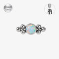 Toposh Dainty ASTM F136 Titanium Labret Stud Piercing Jewelry Cartilage Earring for Wedding or Everyday Use