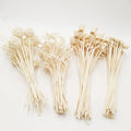 French Luxury Perfume Rattan Stick Decorative Rattan Stick Diffuser Rattan Sticks Escrima