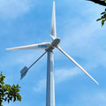Wind Power System Small Wind Turbine Alternative Energy Generator 3000w 48v Horizontal Wind Turbine for Home Use