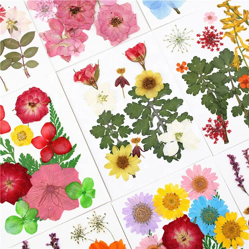 M390 Resin Pressed Flower Natural Pressed Flower Jewelry Box Dried Pressed Flowers for Craft Wedding Necklace Jewelry Gift Frame