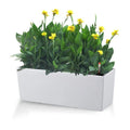 Wall Hanging Self Watering Modern Plastic Rectangular Black Planter Boxes for Home & Garden