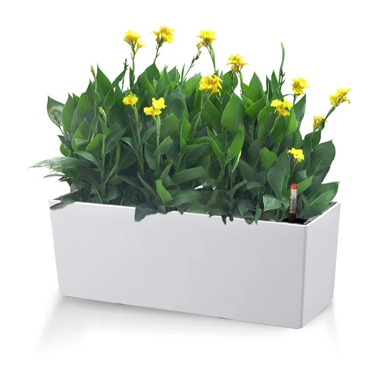 Wall Hanging Self Watering Modern Plastic Rectangular Black Planter Boxes for Home & Garden