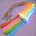 Wholesale Led Usb Rechargeable Led Light Portable Recycled Pet Dog Leash