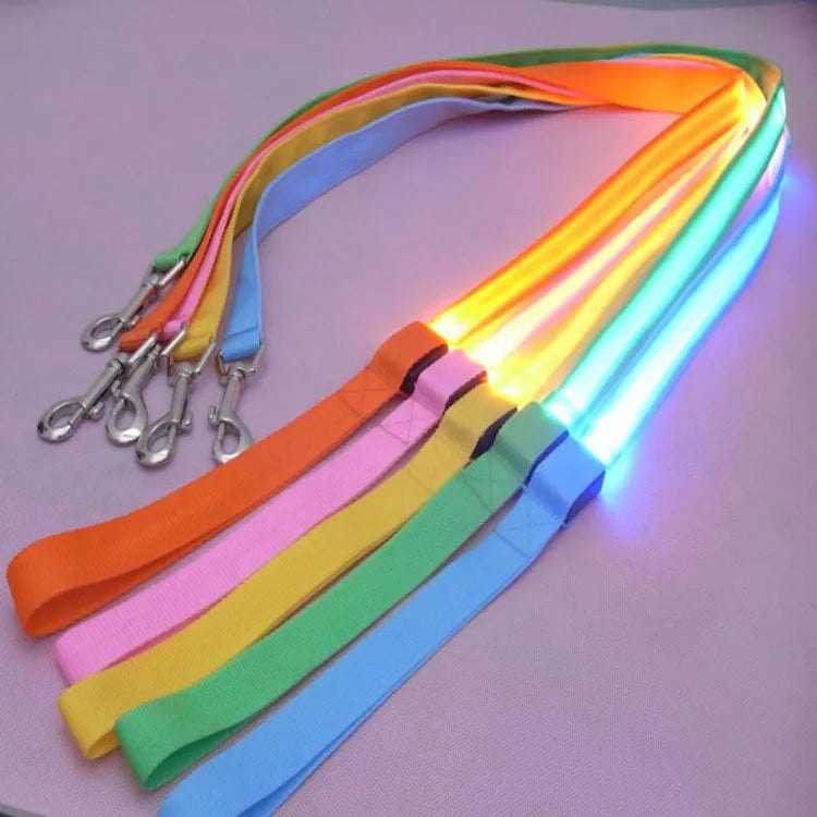 Wholesale Led Usb Rechargeable Led Light Portable Recycled Pet Dog Leash