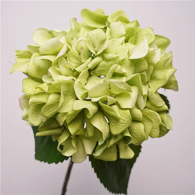 Y-H169 Wholesale Artificial Hydrangea Real Touch Hydrangea High Quality Green Hydrangea for Valentine's Day Weddings Event Decor