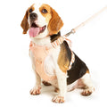 No Pull Dog Harness No Choke Front Lead Dog Reflective Harness Adjustable Soft Padded Pet Vest With Easy Control
