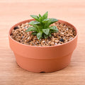 Dia.18cm Round Plastic Imitated Clay Flower Pots Succulent Plant Pot Plastic Bonsai Pot